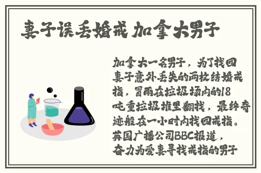 乱系列全文阅读全文目录